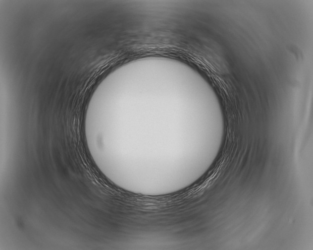 X0000112811300200908210929