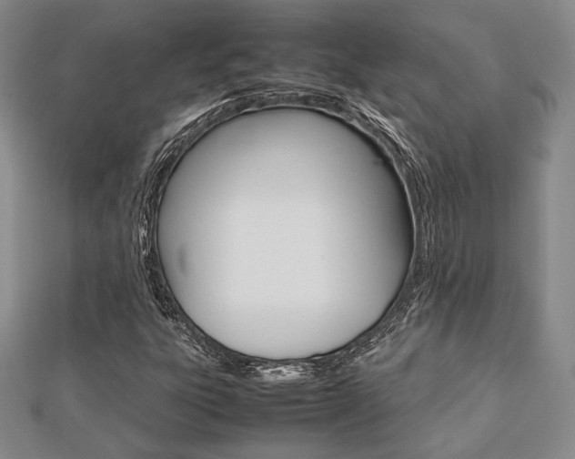 X0000112811303200908210929