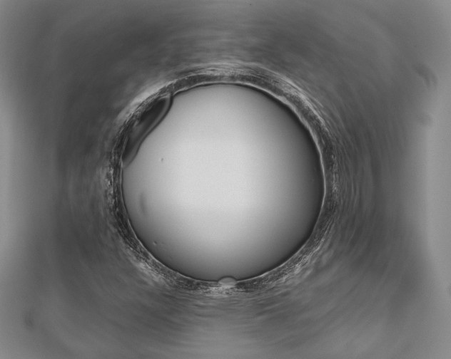 X0000112811304200908210929