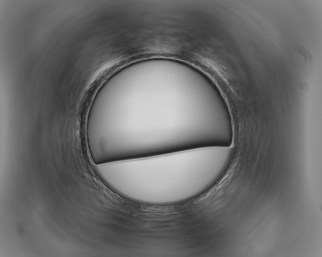 X0000112811307200908210929