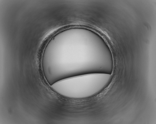 X0000112811311200908210929