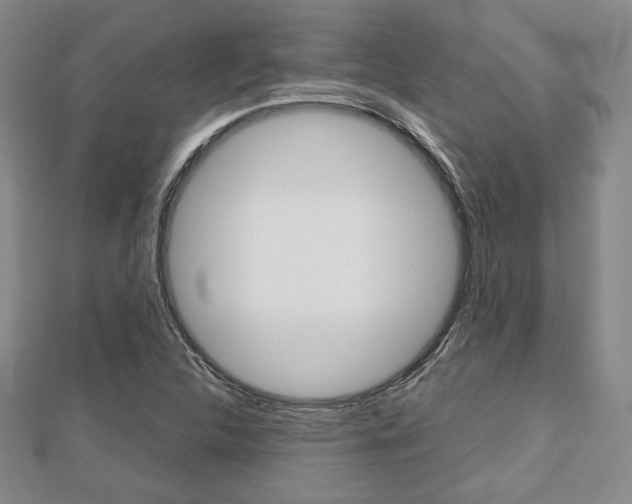 X0000112811312200908210929