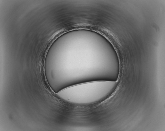 X0000112811313200908210929