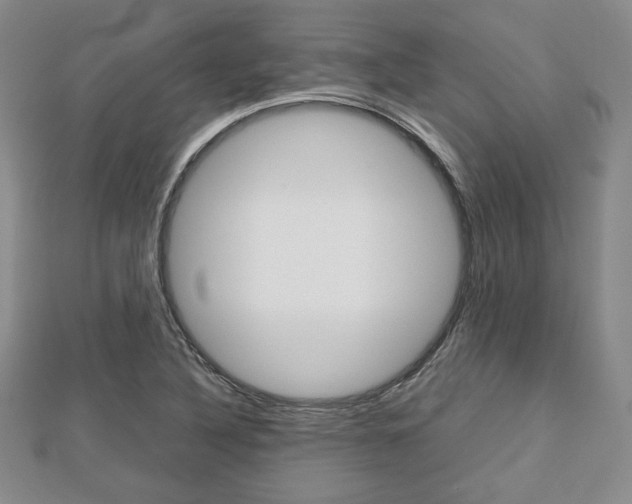 X0000112811316200908210929