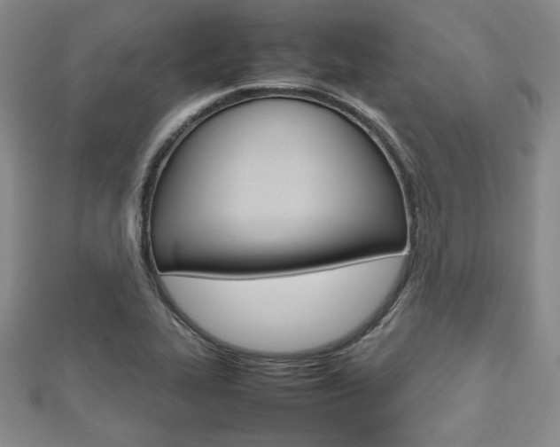 X0000112811319200908210929
