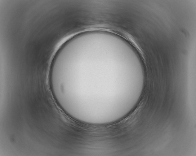 X0000112811320200908210929