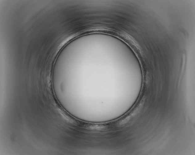 X0000112811321200908210930