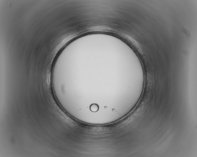 X0000112811322200908210930
