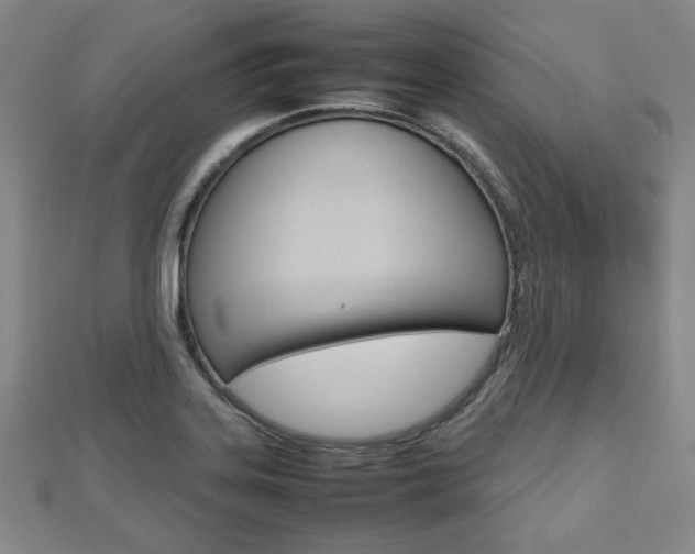 X0000112811323200908210930