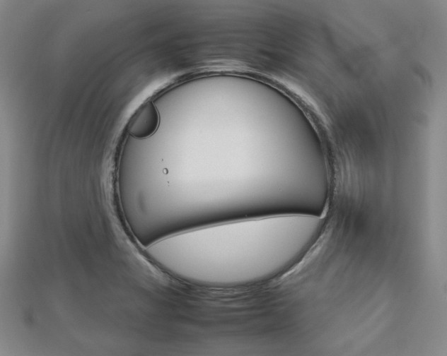 X0000112811325200908210930