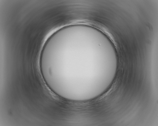 X0000112811328200908210930