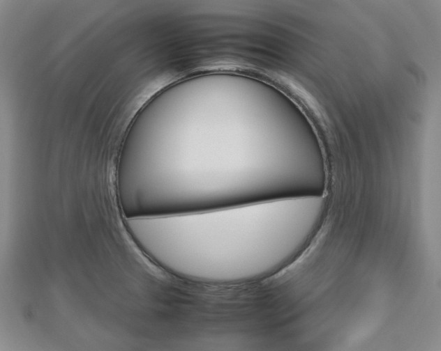 X0000112811329200908210930