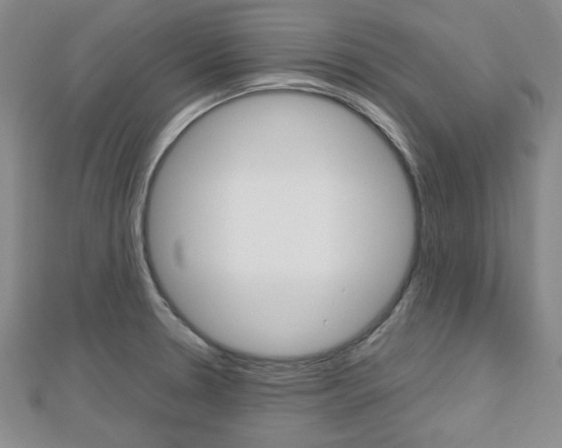 X0000112811330200908210930