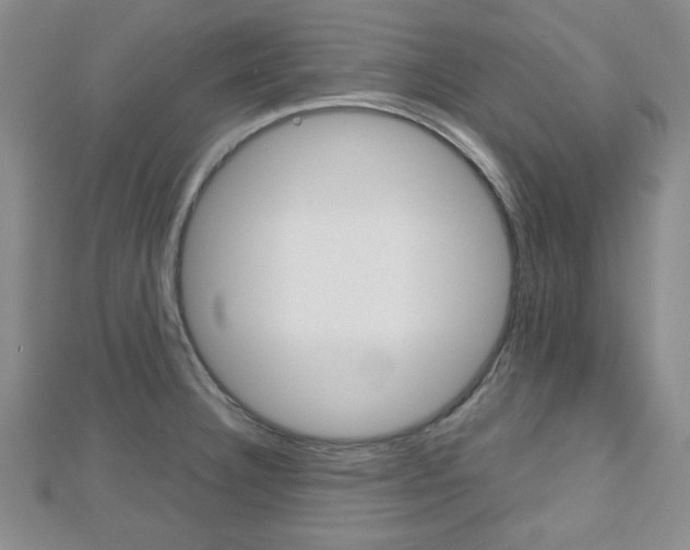 X0000112811332200908210930