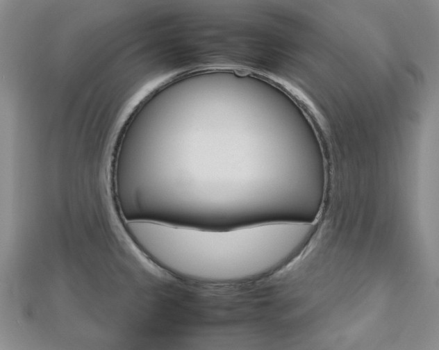 X0000112811333200908210930