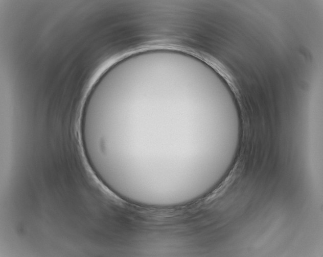 X0000112811334200908210930
