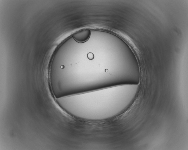 X0000112811335200908210930