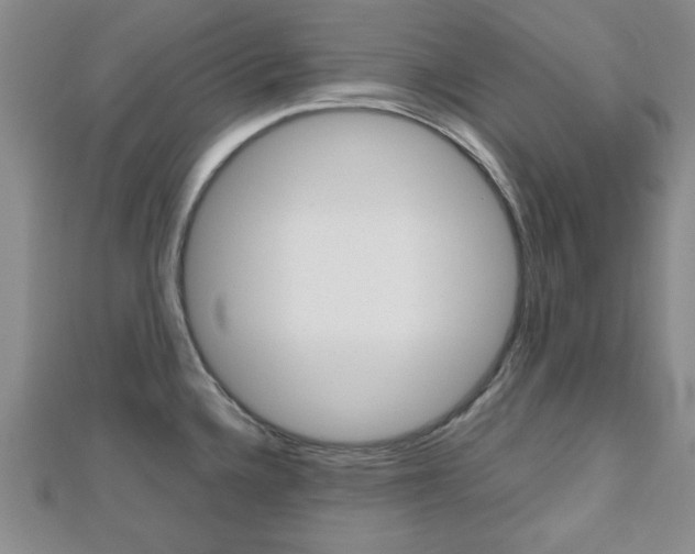 X0000112811336200908210930