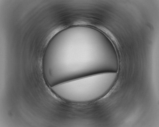 X0000112811337200908210930