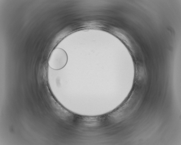 X0000112811338200908210930