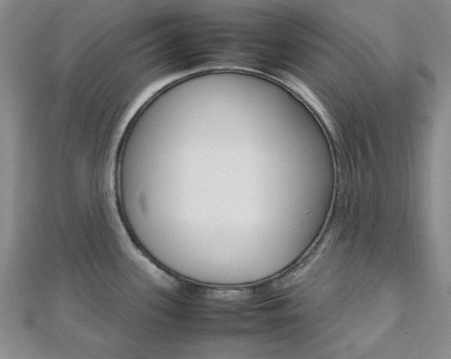 X0000112811339200908210930