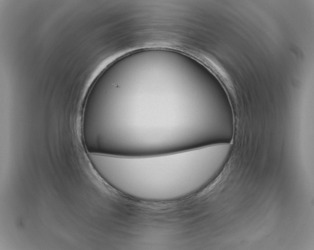 X0000112811340200908210930