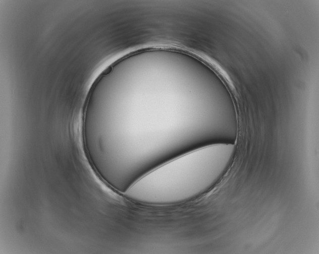 X0000112811343200908210930