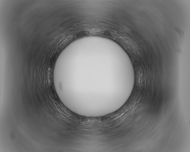 X0000112811346200908210929