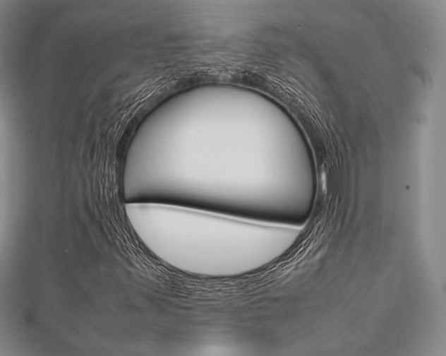 X0000112811347200908210929