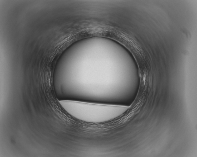 X0000112811348200908210929