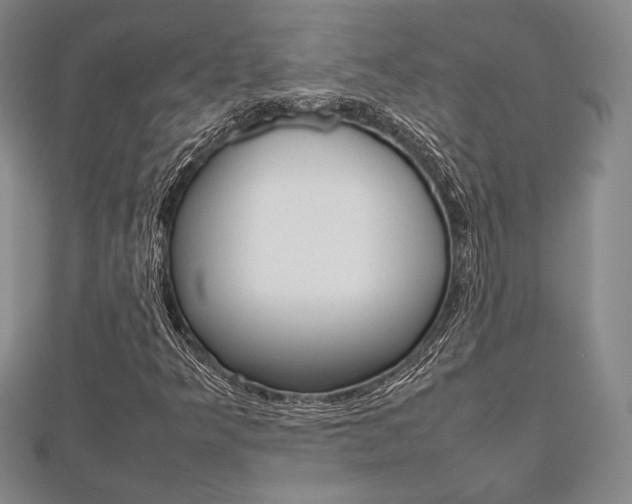 X0000112811349200908210929