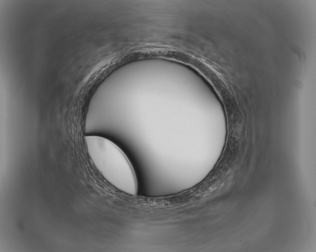X0000112811351200908210929