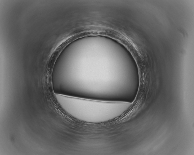 X0000112811352200908210929