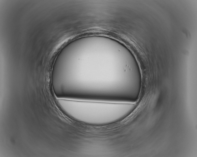 X0000112811355200908210929