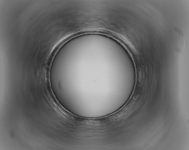 X0000112811356200908210929