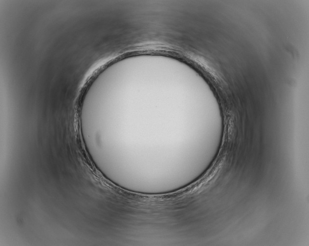X0000112811358200908210929