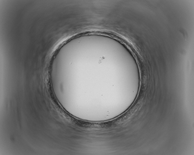 X0000112811359200908210929