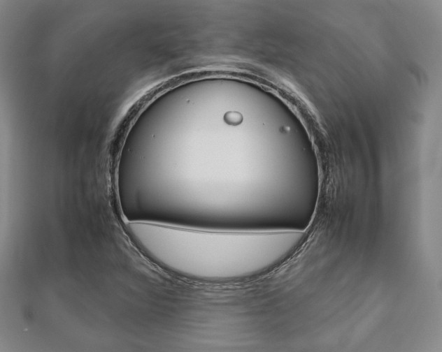 X0000112811360200908210929