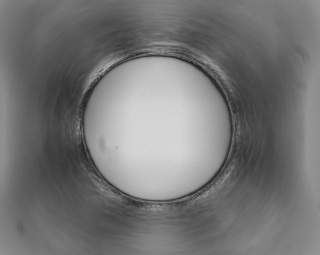 X0000112811362200908210929