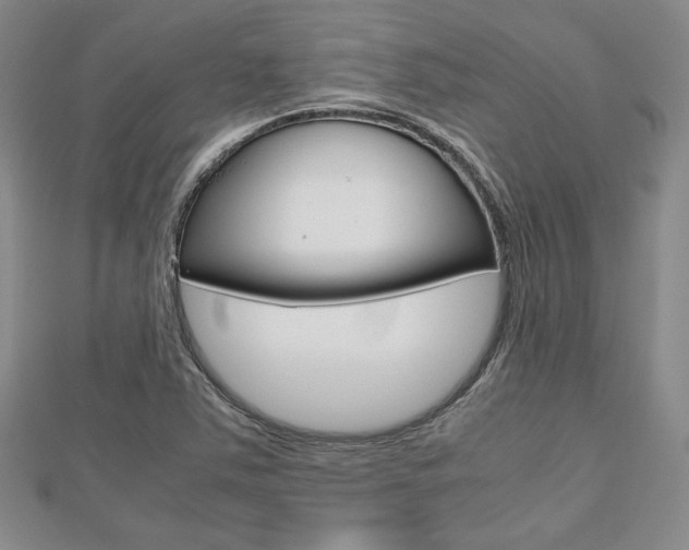 X0000112811363200908210929