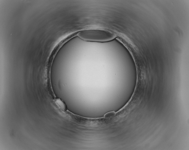 X0000112811364200908210929