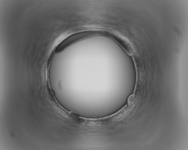 X0000112811365200908210929