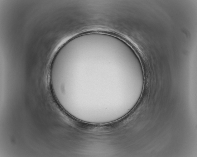 X0000112811367200908210929