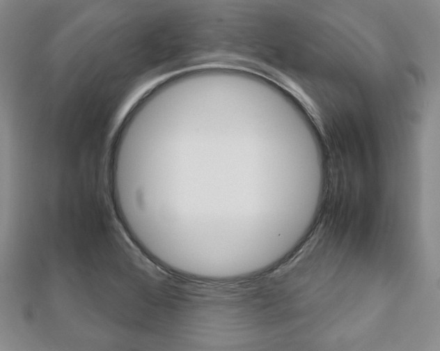 X0000112811368200908210929