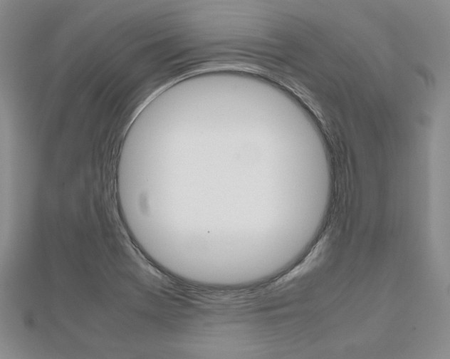 X0000112811369200908210929