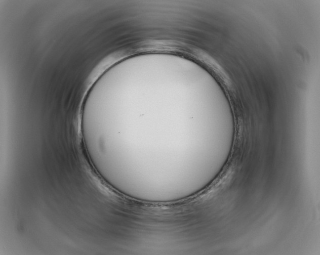 X0000112811370200908210929