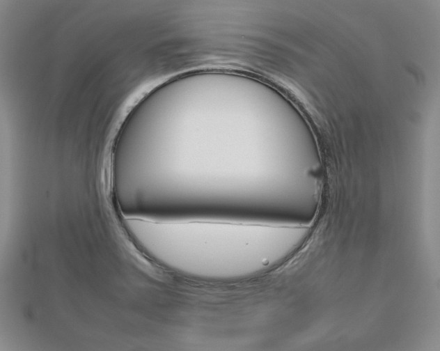 X0000112811371200908210929