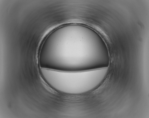 X0000112811372200908210929