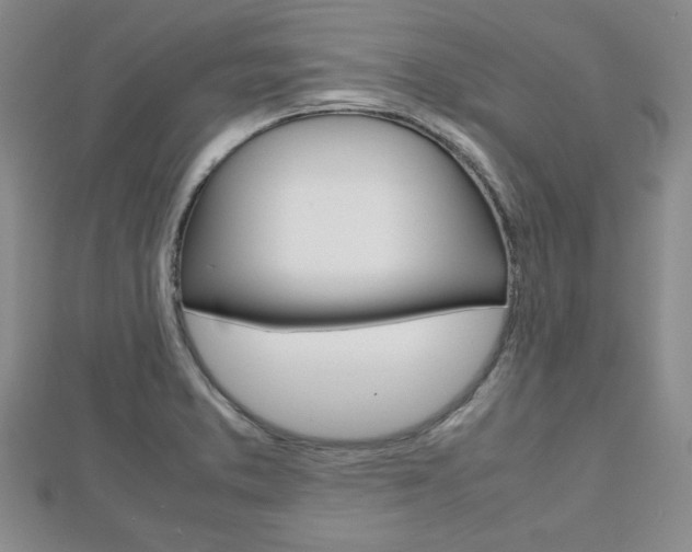 X0000112811373200908210929