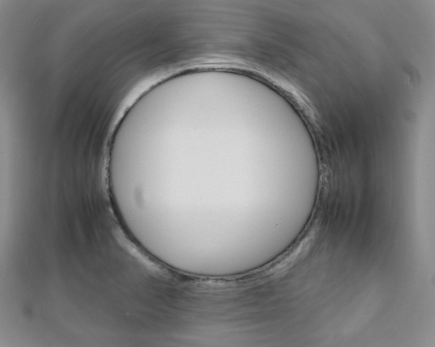X0000112811374200908210929